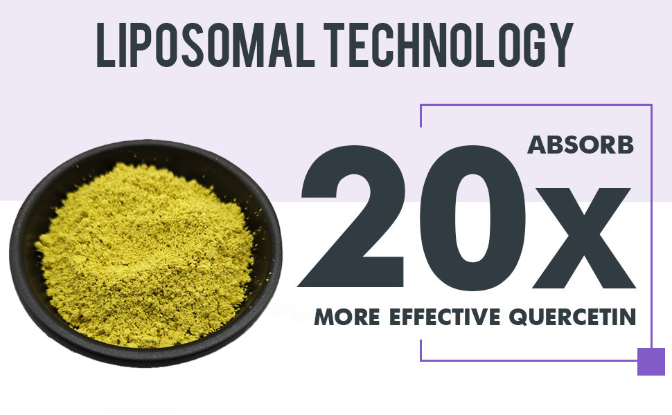 Liposomal Quercetin: Enhanced Bioavailability with Liposomal Technology